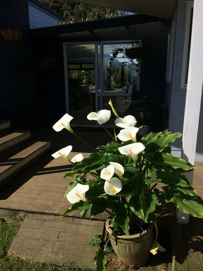 Nightingale Falls Farm Stay Retreat Thames Kültér fotó