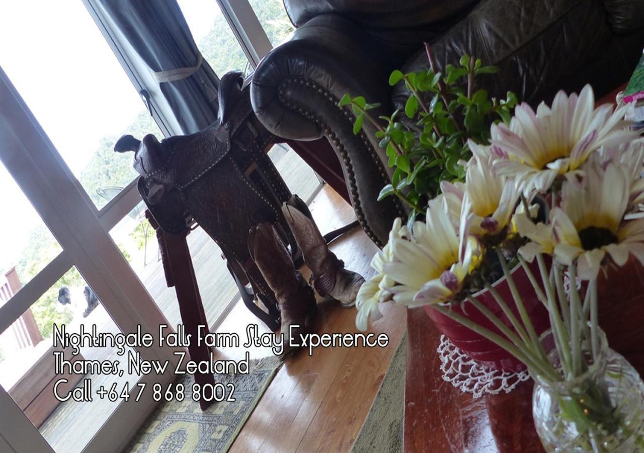 Nightingale Falls Farm Stay Retreat Thames Kültér fotó