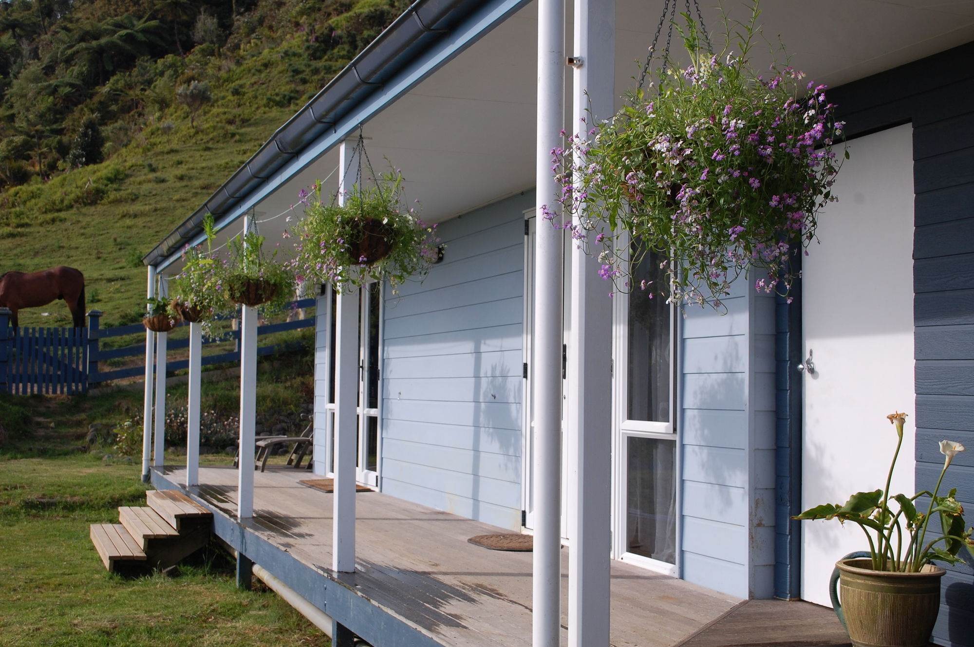 Nightingale Falls Farm Stay Retreat Thames Kültér fotó